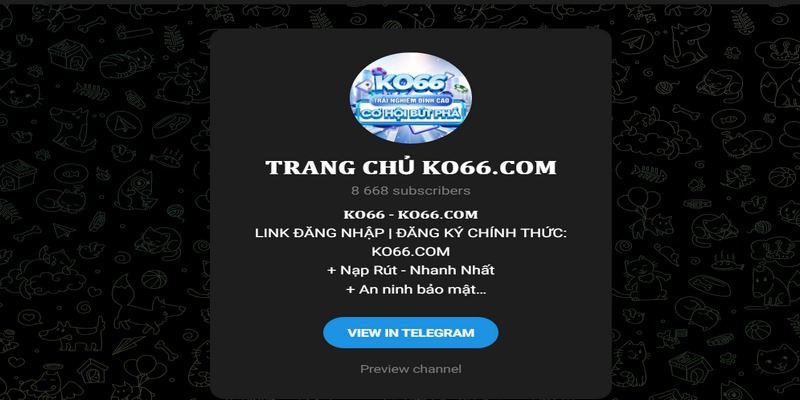 Độ tin cậy của KO66 được khẳng định qua dịch vụ hỗ trợ tận tâm